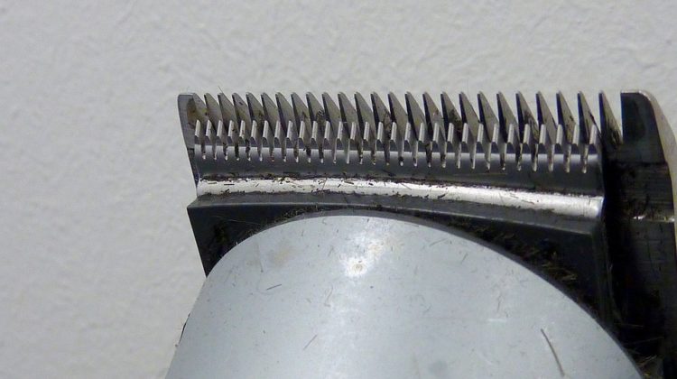 Quels sont les critères de choix de la tondeuse à barbe ?